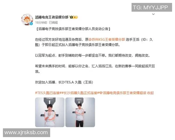 电竞实时数据深度解析TES战队在王者荣耀赛事中的宝贵经验与策略分享